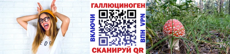 ссылка на мегу маркетплейс  наркотики  Сальск  Галлюциногенные грибы Psilocybe 
